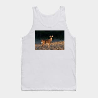 Golden Hour Buck - White-tailed Buck Tank Top